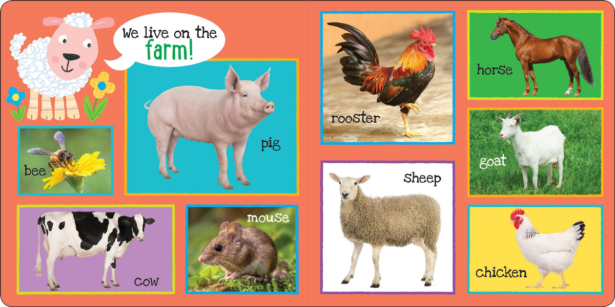 My First 101 ANIMALS Board Book