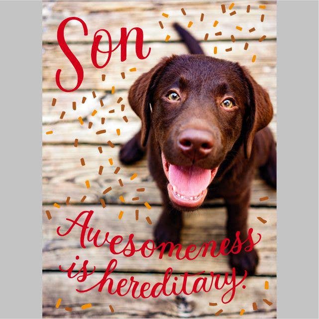 Son Birthday card