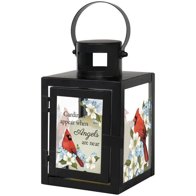 "Cardinals Appear" Lantern