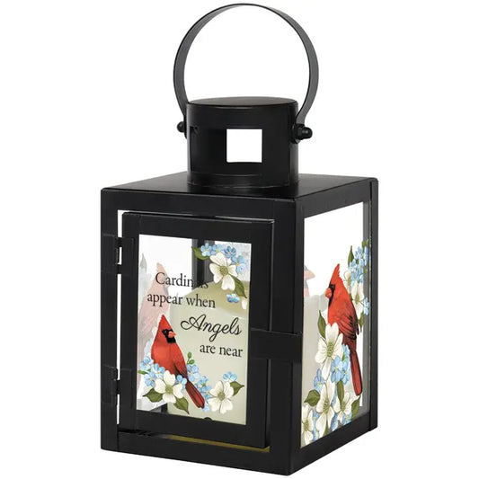 "Cardinals Appear" Lantern