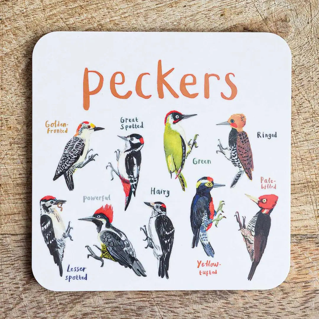 Bird Pun Coasters