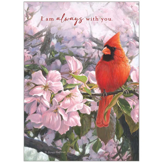 Cardinal's Promise - Sympathy Card