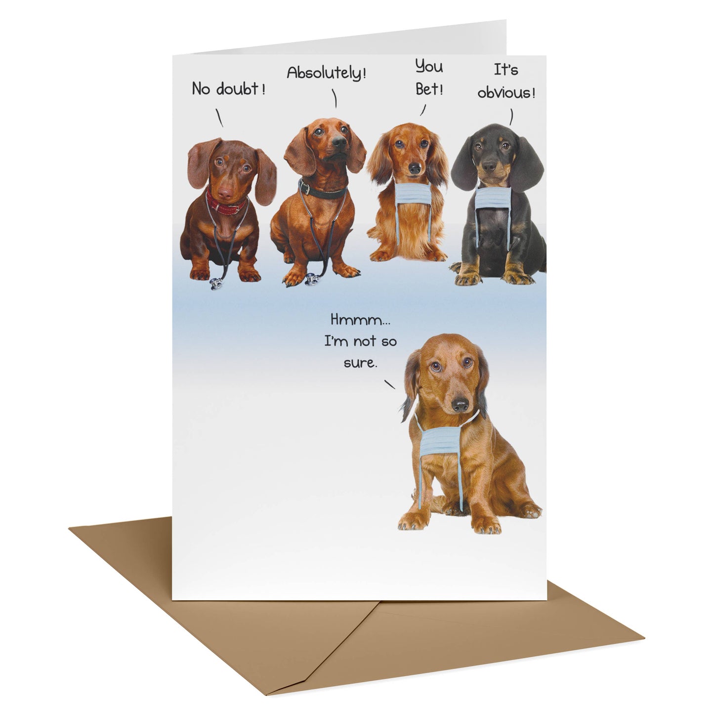 Birthday Humorous | Funny Birthday Card with Dachshunds