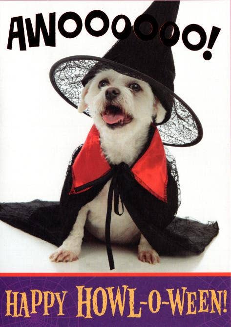 Halloween Juv
