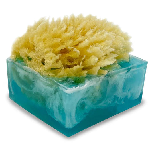 Sponge Bar Glycerin Bar Soap