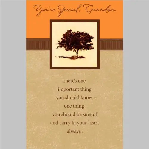 Grandson Birthday Card