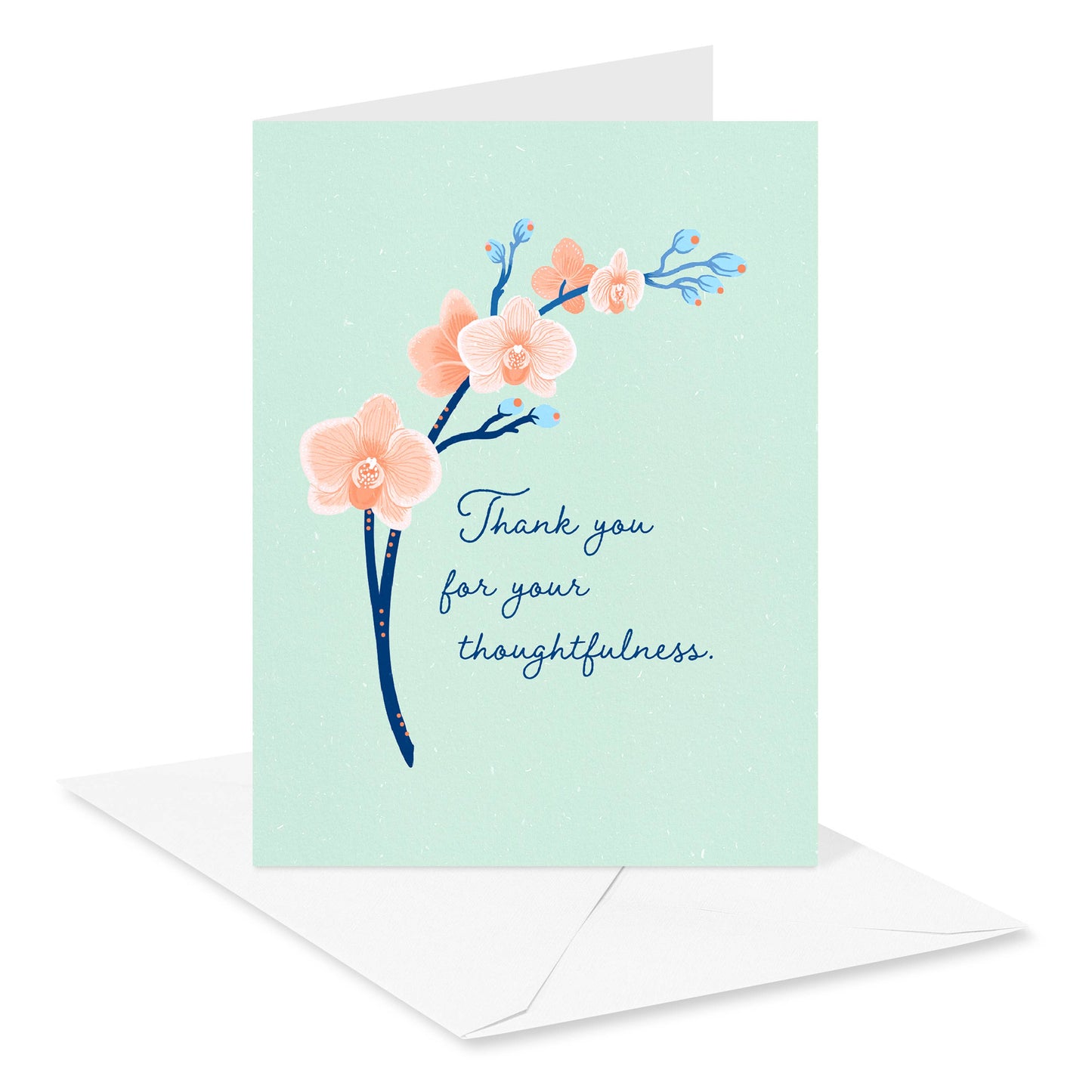 Thank You Card Stationery Notes, Thoughtfulness (10-Count)