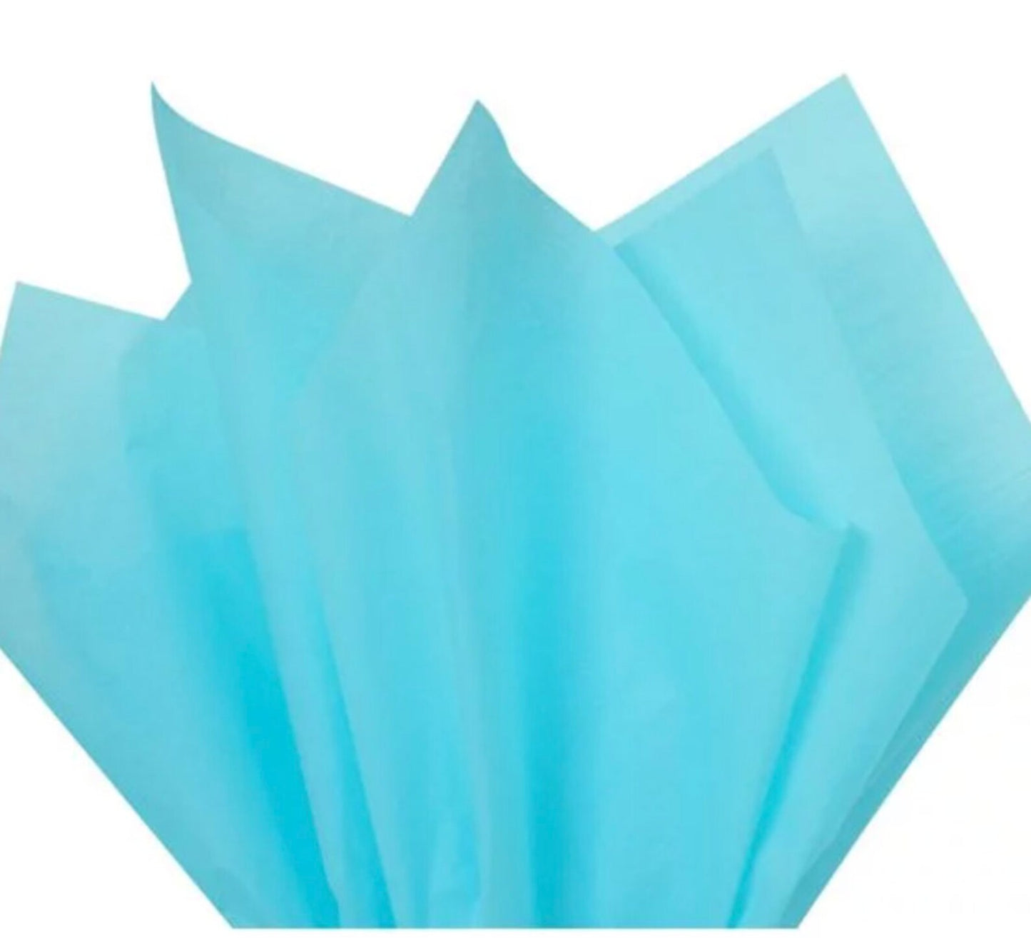 Light Blue- Solid Tissue