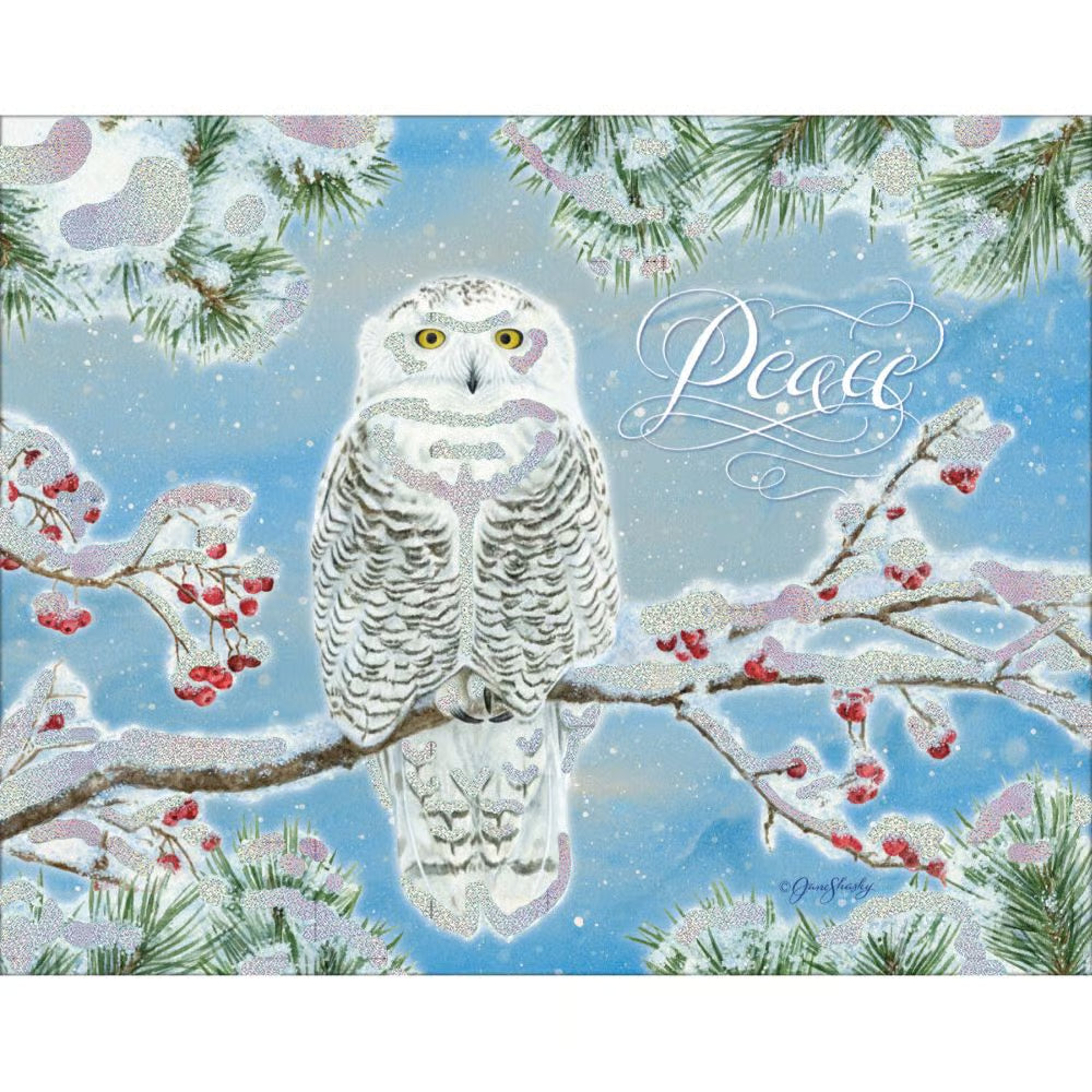Holiday Owl Boxed Christmas Cards by Jane Shasky