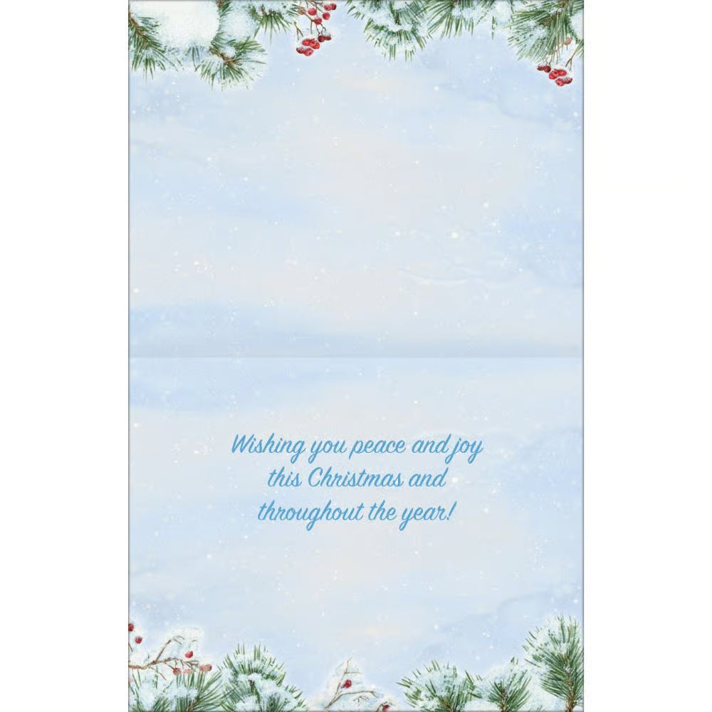 Holiday Owl Boxed Christmas Cards by Jane Shasky