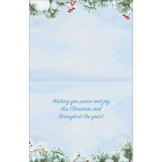 Holiday Owl Boxed Christmas Cards by Jane Shasky
