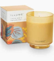 Santal Birch Illume Collection