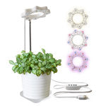 Seed N Sprout Bloomie Indoor Grow Light