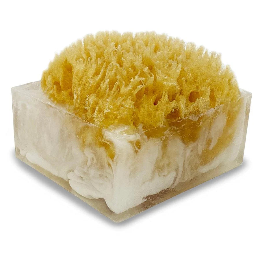 Sponge Bar Glycerin Bar Soap