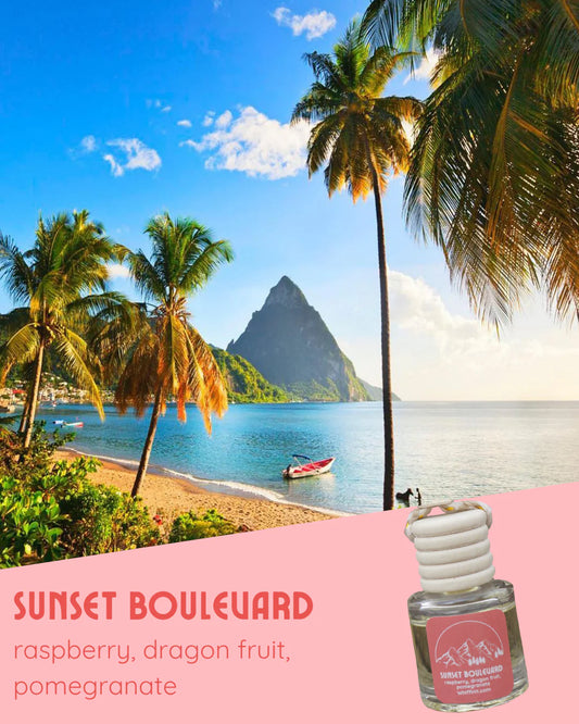 Whiffin' It Car Fresheners