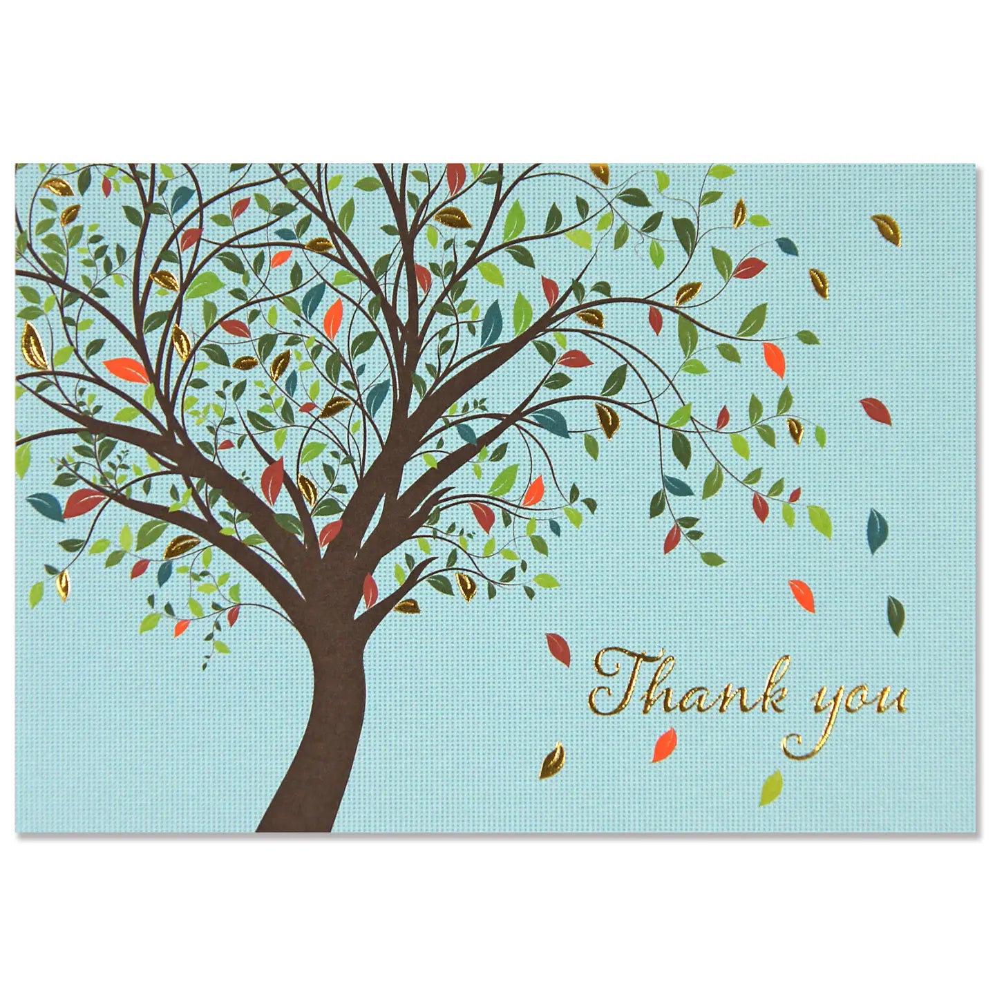 Thank You Notes